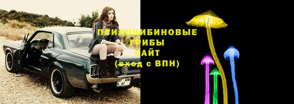 прущие грибы Богородицк