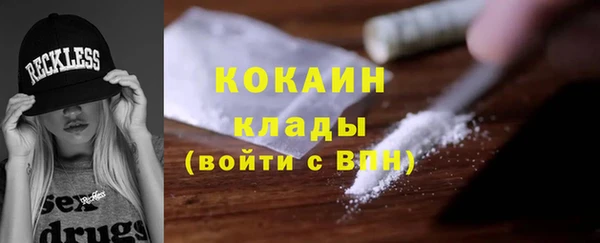 прущие грибы Богородицк