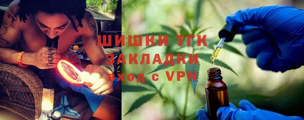 прущие грибы Богородицк