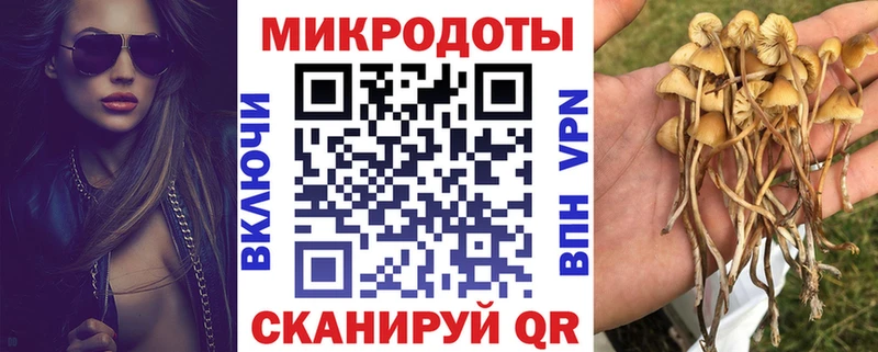 как найти закладки  Котельниково  Галлюциногенные грибы мицелий 